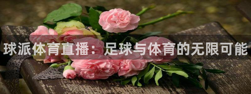 球派体育直播：足球与体育的无限可能